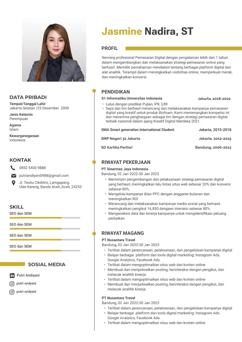 Template CV Cleanse Pro